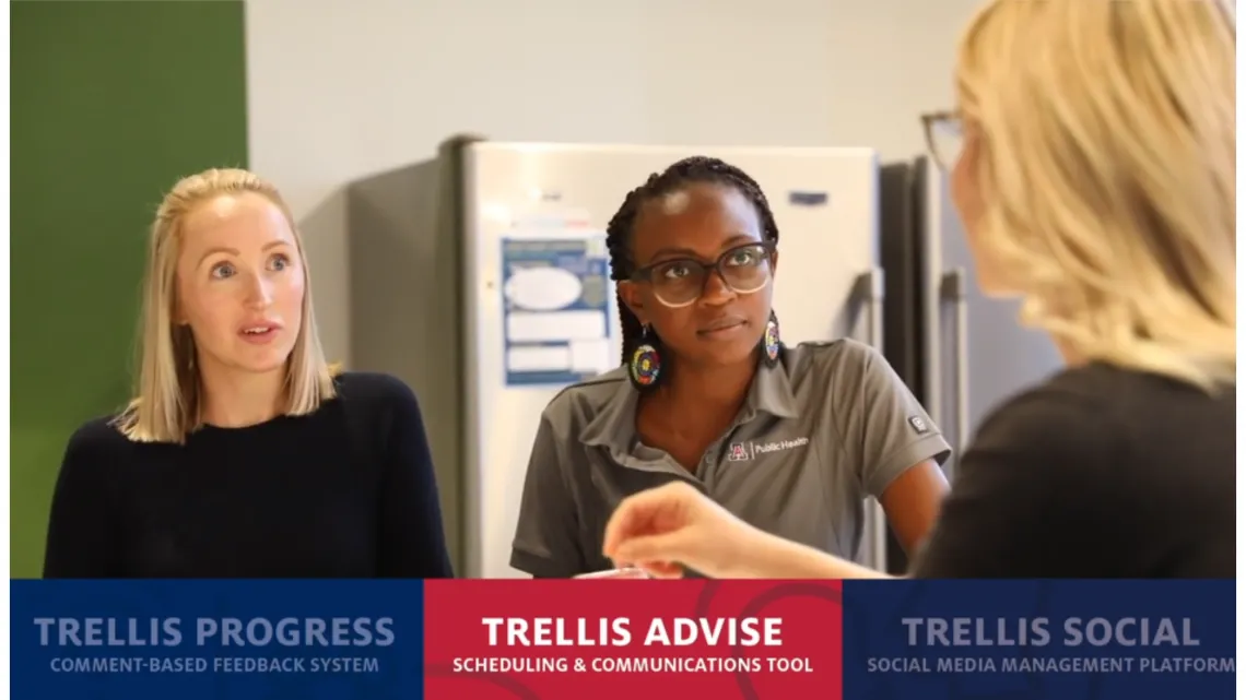 trellis 3 product